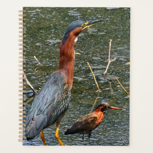 Herbruikbare Boodschappentas Groene Reiger Planner (Voorkant)
