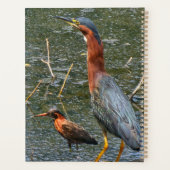 Herbruikbare Boodschappentas Groene Reiger Planner (Achterkant)