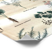 Herbs Plants Flowers Poster (Hoek)