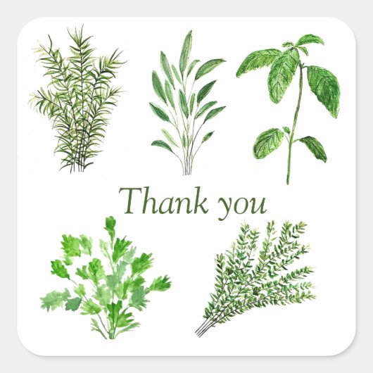 Herbs Rosemary Sage Thyme Mint Parsley Dank u Vierkante Sticker (Voorkant)