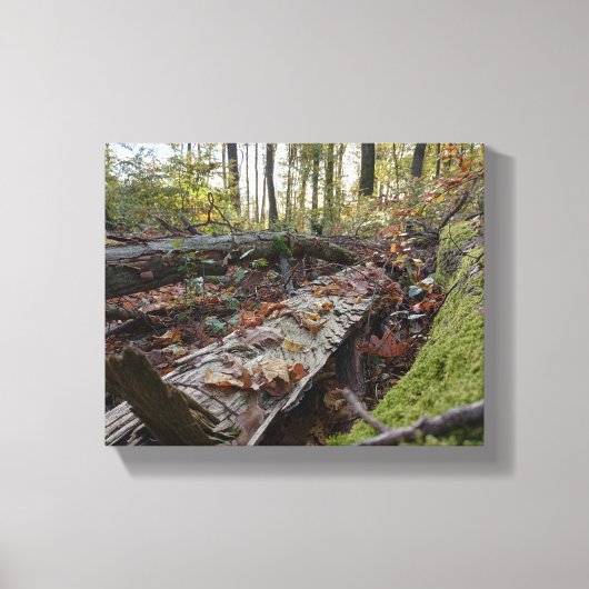 Herbst Canvas Afdruk (Voorkant)