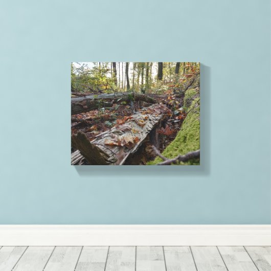 Herbst Canvas Afdruk (Insitu (Houten vloer))