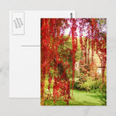 Herbst / herfst briefkaart (Voorkant / Achterkant)