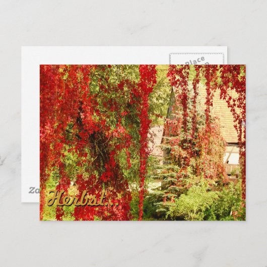 Herbst / herfst briefkaart (Voorkant / Achterkant)