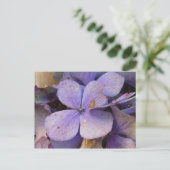 Herbst - Postkarte (Hortensia) Briefkaart (Staand voorkant)