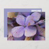 Herbst - Postkarte (Hortensia) Briefkaart (Voorkant / Achterkant)