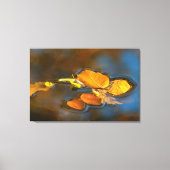 Herbstblätter im See Canvas Afdruk (Voorkant)