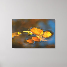 Herbstblätter im See Canvas Afdruk