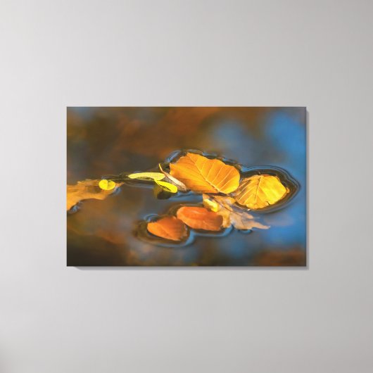Herbstblätter im See Canvas Afdruk (Voorkant)