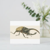 Hercules Beetle Briefkaart (Staand voorkant)