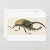 Hercules Beetle Briefkaart (Voorkant / Achterkant)