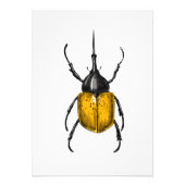 Hercules beetle foto afdruk (Voorkant)