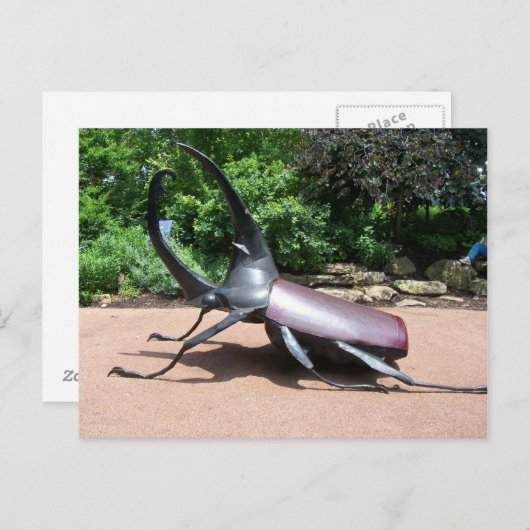 Hercules Beetle Sculptuur Briefkaart (Voorkant / Achterkant)