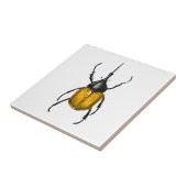Hercules beetle tegeltje (Zijkant)