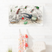 Hercules Kever, Scarabaeus Tityus, gestreept Spandoek (Insitu)