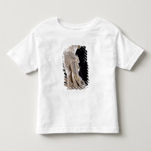 Hercules vechten tegen de Lernaean Hydra Kinder Shirts