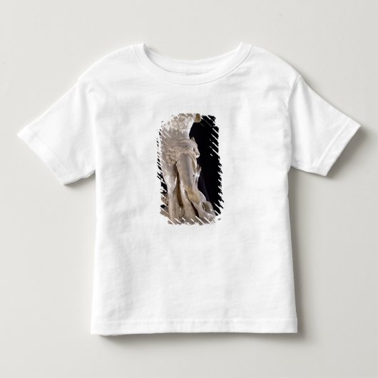 Hercules vechten tegen de Lernaean Hydra Kinder Shirts (Voorkant)