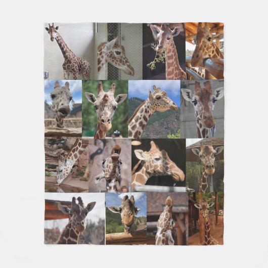 Herd 50 x 60-inch medium flessenmandje fleece deken (Voorkant)