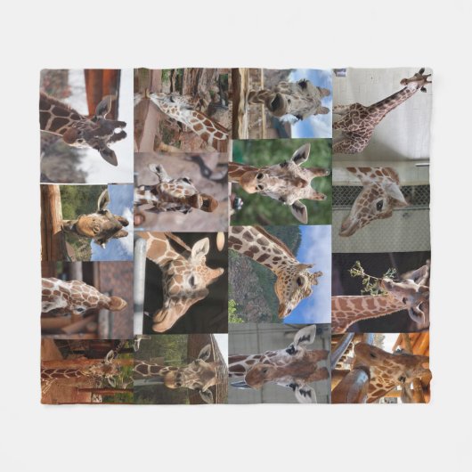 Herd 50 x 60-inch medium flessenmandje fleece deken (Voorkant (Horizontaal))