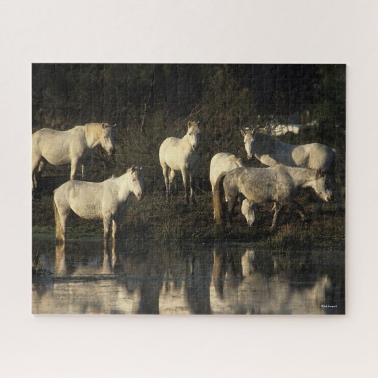 Herd Camargue Ponies in water Legpuzzel (Horizontaal)