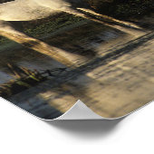 Herd Camargue Ponies in water Poster (Hoek)