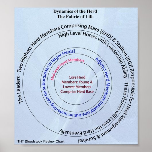 Herd Dynamic Fabric of Life Poster (Voorkant)