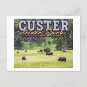 HERD OF BISON - CUSTER STATE PARK - SOUTH DAKOTA BRIEFKAART