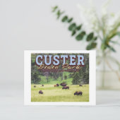 HERD OF BISON - CUSTER STATE PARK - SOUTH DAKOTA BRIEFKAART (Staand voorkant)