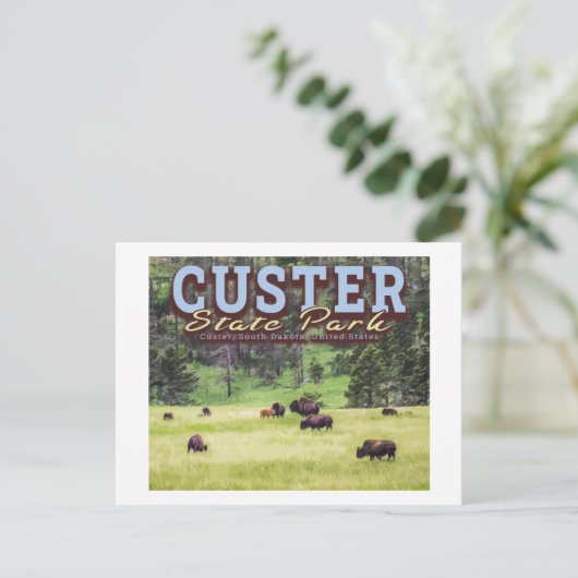 HERD OF BISON - CUSTER STATE PARK - SOUTH DAKOTA BRIEFKAART (Staand voorkant)
