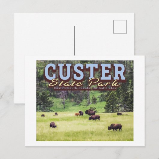 HERD OF BISON - CUSTER STATE PARK - SOUTH DAKOTA BRIEFKAART (Voorkant / Achterkant)