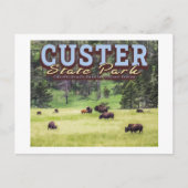 HERD OF BISON - CUSTER STATE PARK - SOUTH DAKOTA BRIEFKAART (Voorkant)