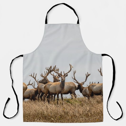 HERD OF DEER SCHORT (Voorkant)
