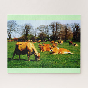 Herd of Jersey cows Legpuzzel