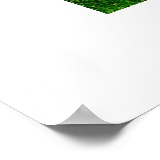 HERD OF JERSEY KOEIEN POSTER (Hoek)