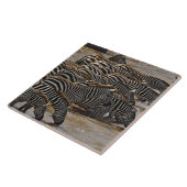 Herd van de Zebras van Burchell drink Mara Tegeltje (Zijkant)