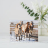 Herd van gemengde fokpaarden die in de sneeuw lope briefkaart (Staand voorkant)