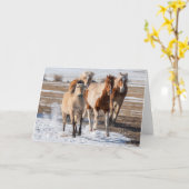 Herd van gemengde fokpaarden die in de sneeuw lope kaart (Gele Bloem)