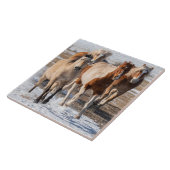 Herd van gemengde fokpaarden die in de sneeuw lope tegeltje (Zijkant)