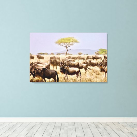 Herd van GNU Wildbeest Canvas Afdruk (Insitu (Houten vloer))