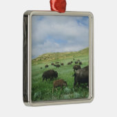 Herd van het grasgras van Bison-gras in Theodore Metalen Ornament (Rechts)
