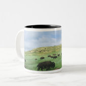 Herd van het grasgras van Bison-gras in Theodore Tweekleurige Koffiemok (Voorkant links)
