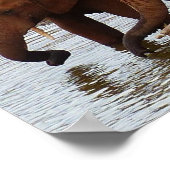 Herd van olifanten in een watergat poster (Hoek)