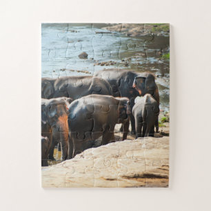 Herd van olifanten met Baby in Water Legpuzzel
