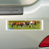 Herd van paarden bumpersticker (Op auto)