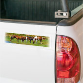 Herd van paarden bumpersticker (Op Truck)