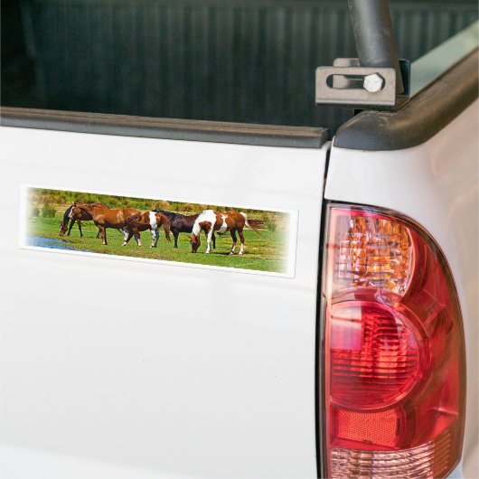 Herd van paarden bumpersticker (Op Truck)