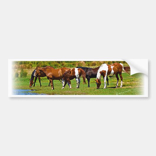 Herd van paarden bumpersticker (Voorkant)