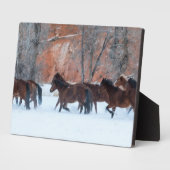 Herd van paarden die op sneeuw lopen fotoplaat (Zijkant)