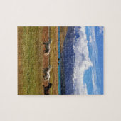 Herd van paarden Galloping in Field Legpuzzel (Horizontaal)