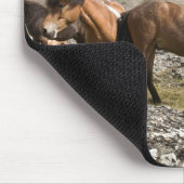 Herd van paarden, nabij Hofn, IJsland Muismat (Hoek)